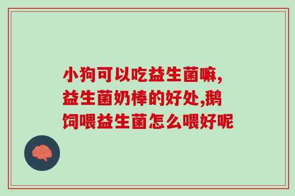 肚子疼成人益生菌推荐(推荐成人益生菌缓解肚子不适)