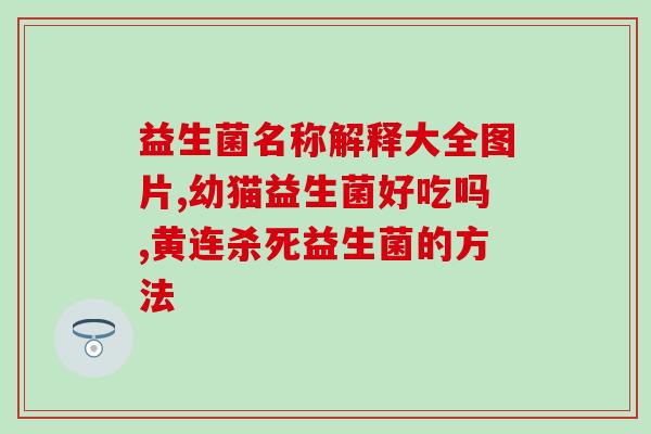 老人怎么样服益生菌好(老人服用益生菌的方法，你需要知道)