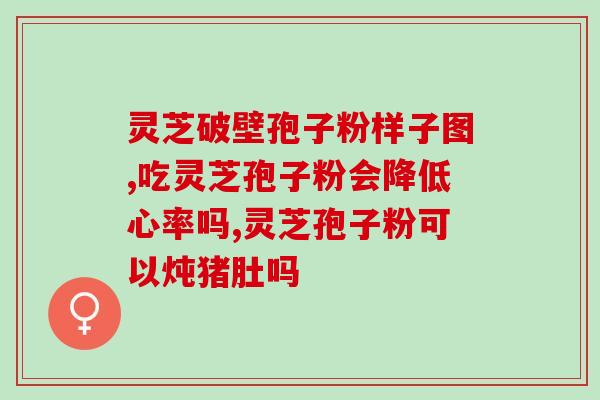 灵芝孢子粉日本牌子？寿仙谷灵芝孢子粉靠谱吗