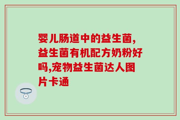 老面发酵含什么益生菌(老面发酵：健康的益生菌来源)