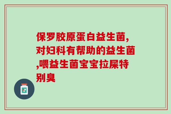 老年狗呕吐益生菌怎么吃(老年犬如何服用益生菌护肠道？)