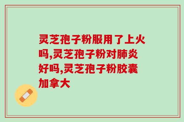 bz灵芝(恢复身体健康，探索灵芝的神奇功效)