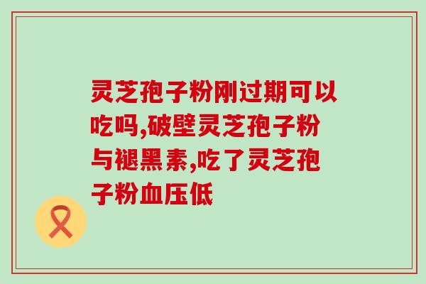 灵芝孢子油胶囊介格？纪刚老师卖孢子油的价格是多少钱