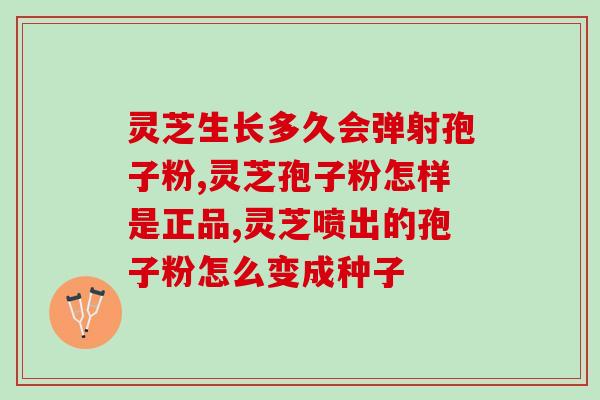 灵芝三萜效果怎么样？为什么说灵芝三萜含量越高抗效果越好