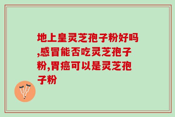 灵芝孢子粉好还是灵芝干好？灵芝粉好，还是灵芝孢子粉好