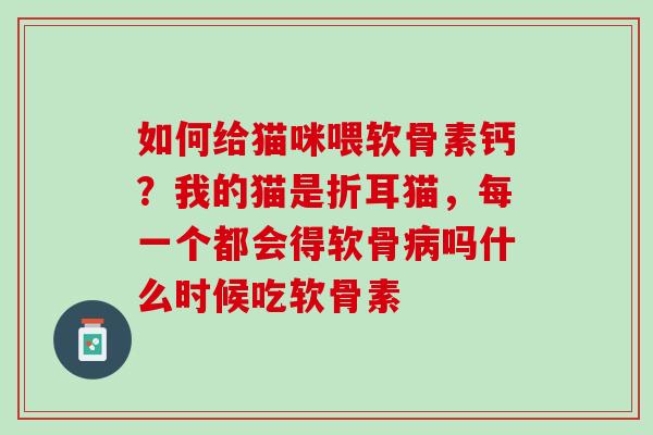 如何给猫咪喂软骨素钙？我的猫是折耳猫，每一个都会得软骨病吗什么时候吃软骨素
