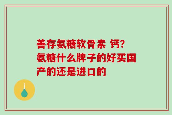 善存氨糖软骨素 钙？氨糖什么牌子的好买国产的还是进口的