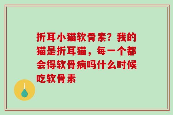 折耳小猫软骨素？我的猫是折耳猫，每一个都会得软骨病吗什么时候吃软骨素