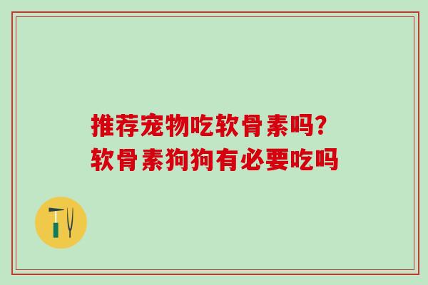 推荐宠物吃软骨素吗？软骨素狗狗有必要吃吗