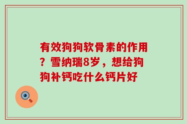 有效狗狗软骨素的作用？雪纳瑞8岁，想给狗狗补钙吃什么钙片好