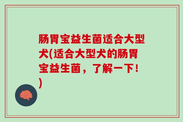 肠胃宝益生菌适合大型犬(适合大型犬的肠胃宝益生菌，了解一下！)