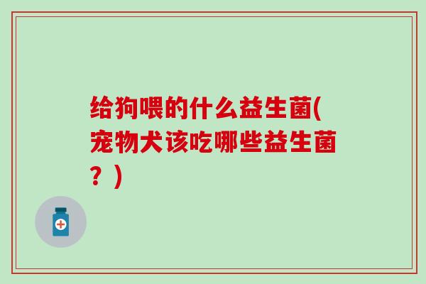 给狗喂的什么益生菌(宠物犬该吃哪些益生菌？)