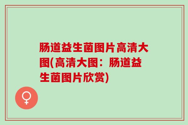 肠道益生菌图片高清大图(高清大图：肠道益生菌图片欣赏)