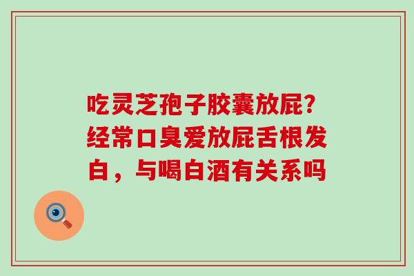 吃灵芝孢子胶囊放屁？经常口臭爱放屁舌根发白，与喝白酒有关系吗