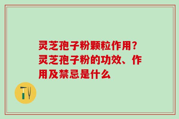 灵芝孢子粉颗粒作用？灵芝孢子粉的功效、作用及禁忌是什么