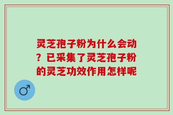 灵芝孢子粉为什么会动？已采集了灵芝孢子粉的灵芝功效作用怎样呢
