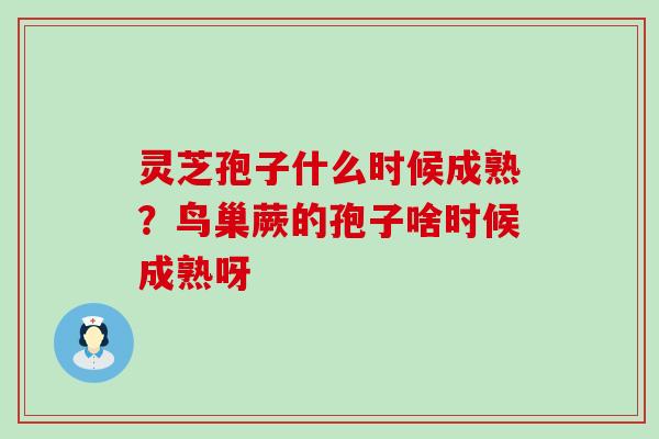 灵芝孢子什么时候成熟？鸟巢蕨的孢子啥时候成熟呀