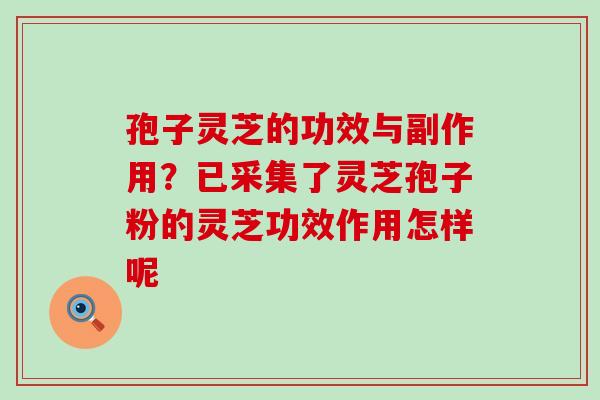 孢子灵芝的功效与副作用？已采集了灵芝孢子粉的灵芝功效作用怎样呢