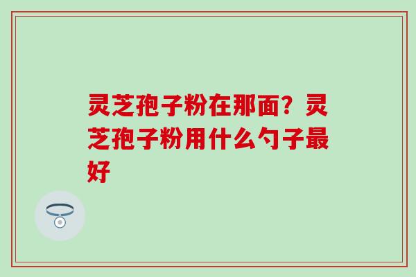 灵芝孢子粉在那面？灵芝孢子粉用什么勺子最好