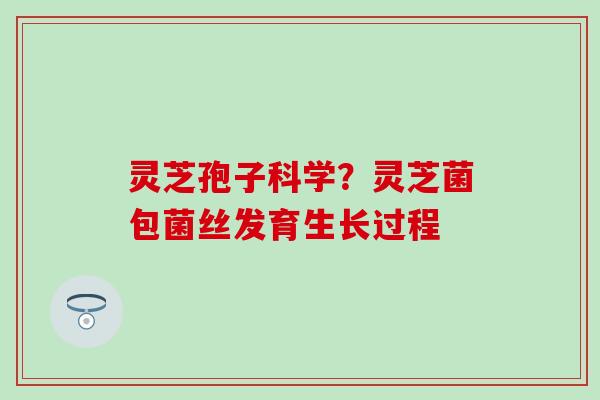 灵芝孢子科学？灵芝菌包菌丝发育生长过程