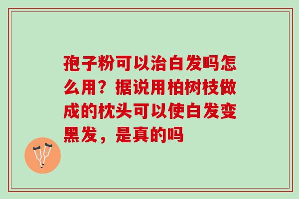 孢子粉可以治白发吗怎么用？据说用柏树枝做成的枕头可以使白发变黑发，是真的吗