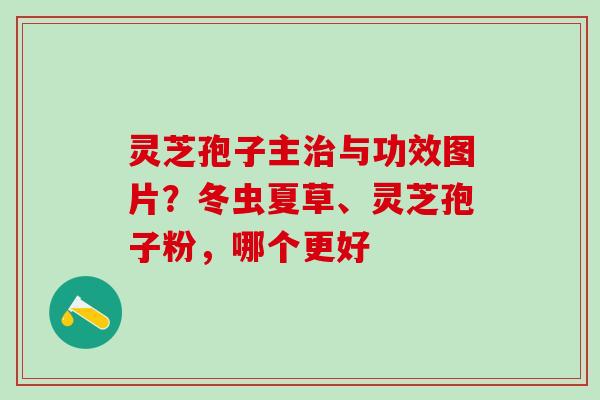 灵芝孢子主治与功效图片？冬虫夏草、灵芝孢子粉，哪个更好