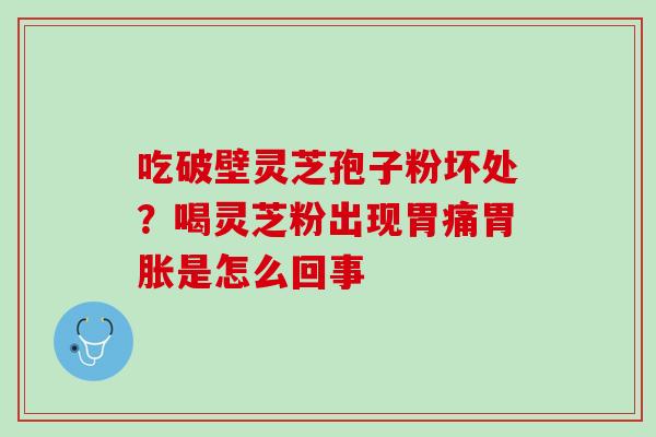 吃破壁灵芝孢子粉坏处？喝灵芝粉出现胃痛胃胀是怎么回事