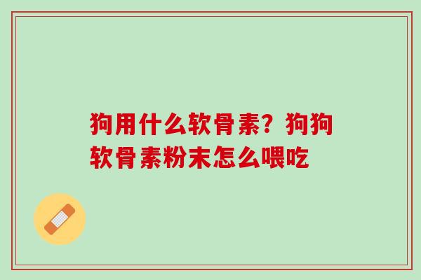 狗用什么软骨素？狗狗软骨素粉末怎么喂吃