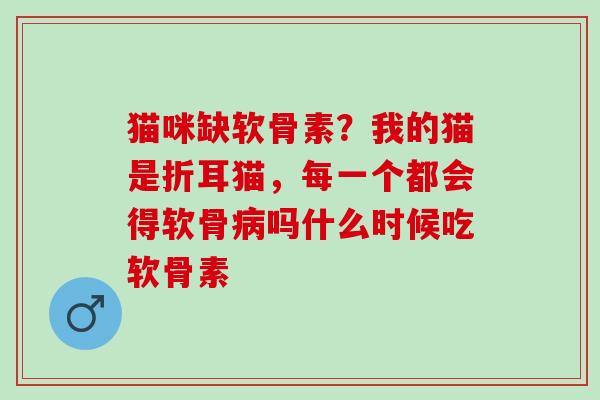 猫咪缺软骨素？我的猫是折耳猫，每一个都会得软骨病吗什么时候吃软骨素