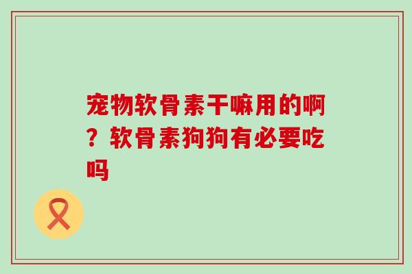 宠物软骨素干嘛用的啊？软骨素狗狗有必要吃吗