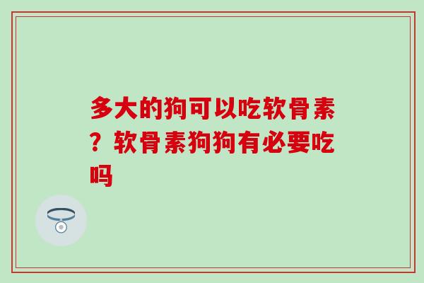 多大的狗可以吃软骨素？软骨素狗狗有必要吃吗