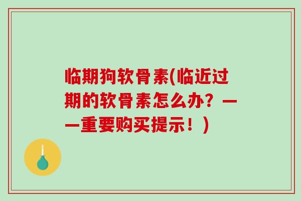 临期狗软骨素(临近过期的软骨素怎么办？——重要购买提示！)