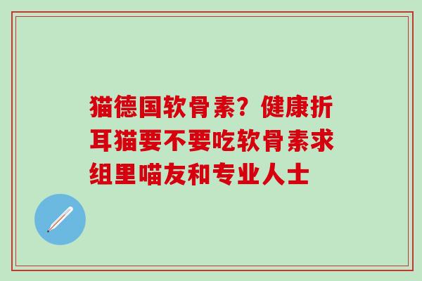 猫德国软骨素？健康折耳猫要不要吃软骨素求组里喵友和专业人士