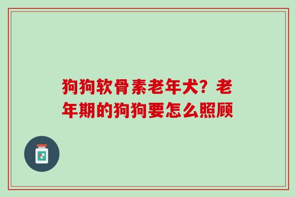 狗狗软骨素老年犬？老年期的狗狗要怎么照顾