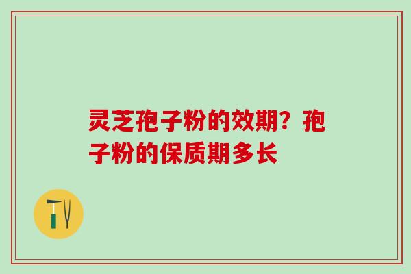 灵芝孢子粉的效期？孢子粉的保质期多长