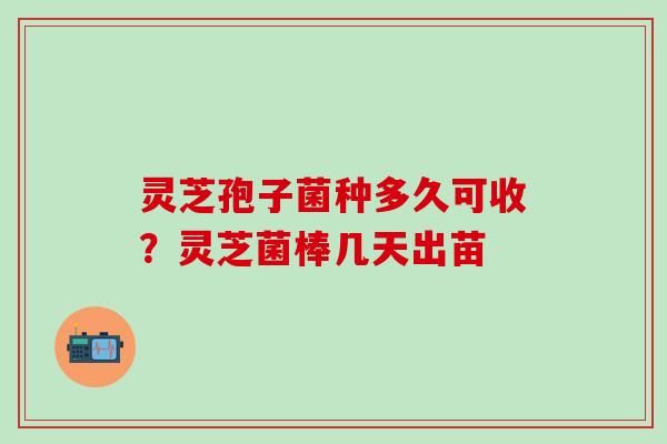 灵芝孢子菌种多久可收？灵芝菌棒几天出苗