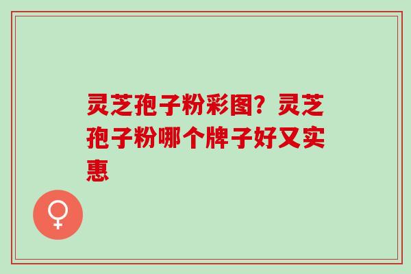 灵芝孢子粉彩图？灵芝孢子粉哪个牌子好又实惠