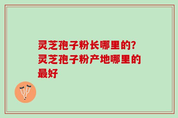 灵芝孢子粉长哪里的？灵芝孢子粉产地哪里的最好
