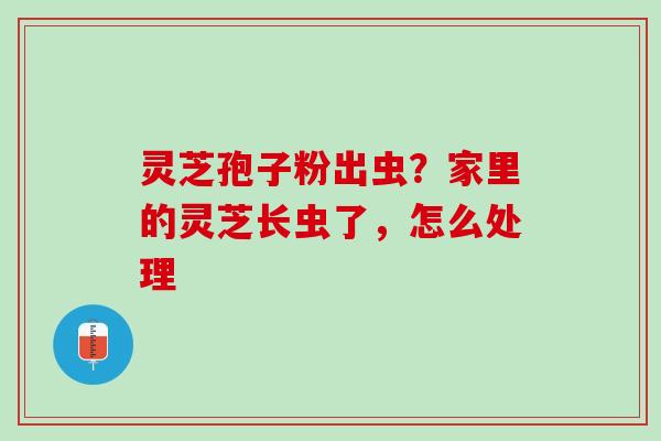 灵芝孢子粉出虫？家里的灵芝长虫了，怎么处理