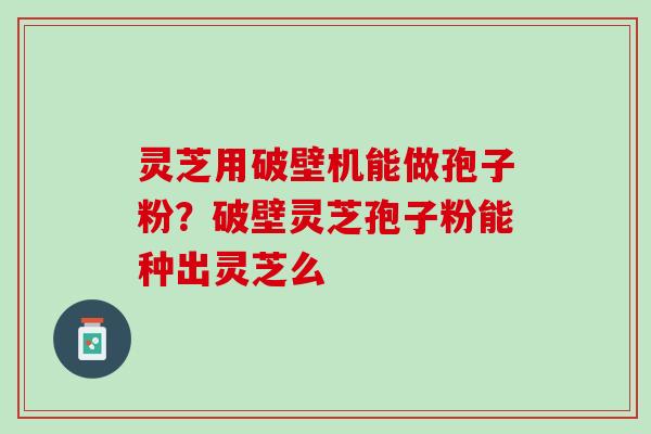 灵芝用破壁机能做孢子粉？破壁灵芝孢子粉能种出灵芝么