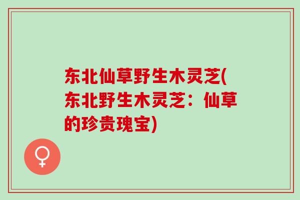 东北仙草野生木灵芝(东北野生木灵芝：仙草的珍贵瑰宝)