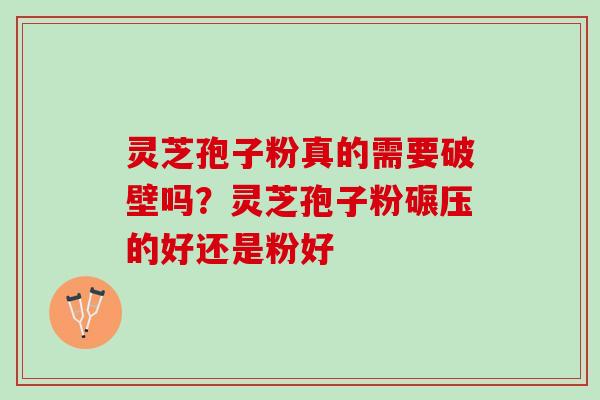灵芝孢子粉真的需要破壁吗？灵芝孢子粉碾压的好还是粉好