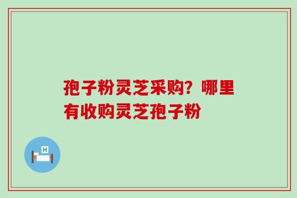 孢子粉灵芝采购？哪里有收购灵芝孢子粉