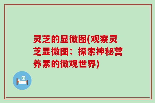 灵芝的显微图(观察灵芝显微图：探索神秘营养素的微观世界)