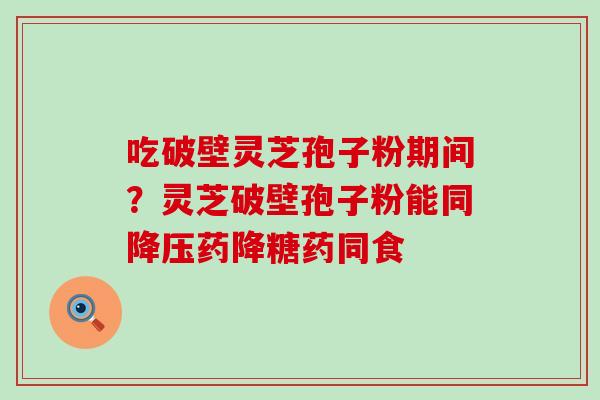 吃破壁灵芝孢子粉期间？灵芝破壁孢子粉能同药降糖药同食