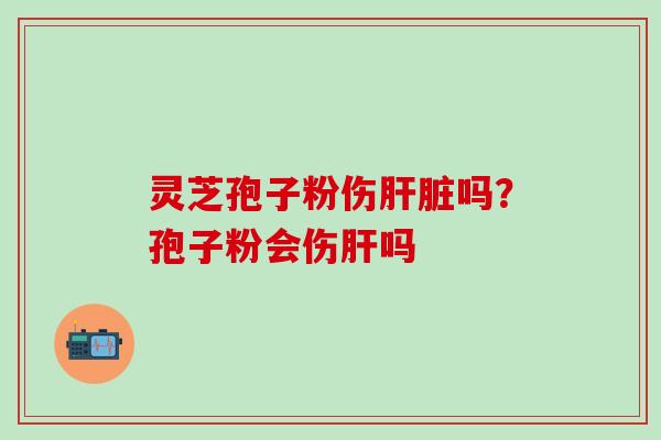 灵芝孢子粉伤肝脏吗？孢子粉会伤肝吗