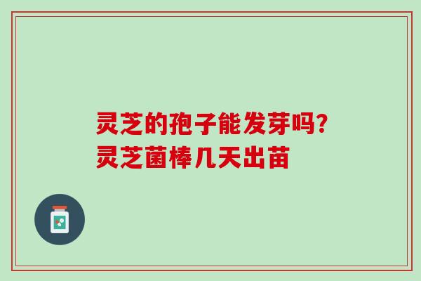 灵芝的孢子能发芽吗？灵芝菌棒几天出苗
