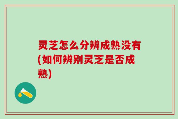 灵芝怎么分辨成熟没有(如何辨别灵芝是否成熟)