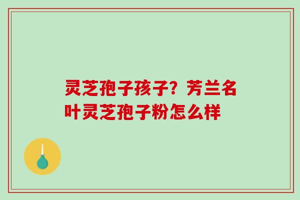灵芝孢子孩子？芳兰名叶灵芝孢子粉怎么样