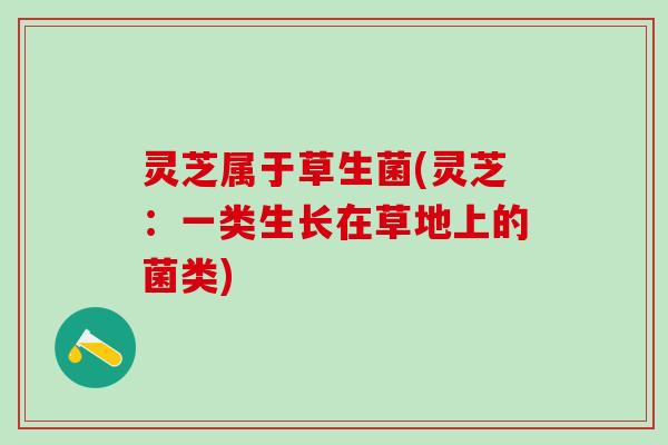灵芝属于草生菌(灵芝：一类生长在草地上的菌类)